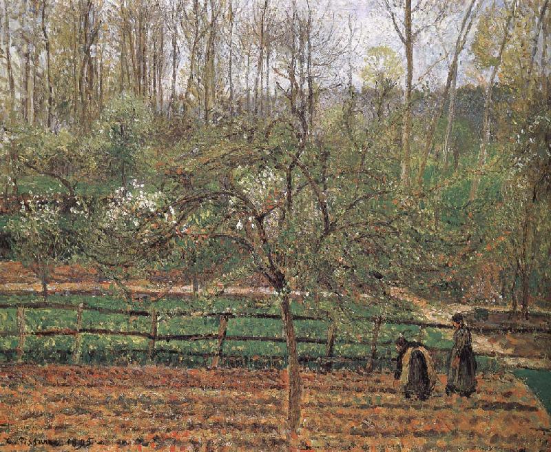 Camille Pissarro Spring